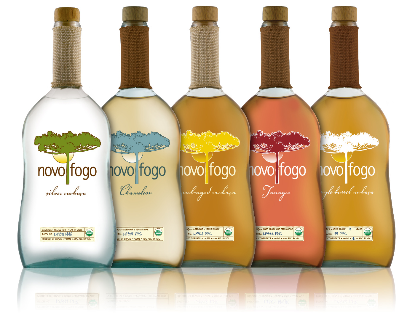 Bottle LIne-Up 5 Bottles