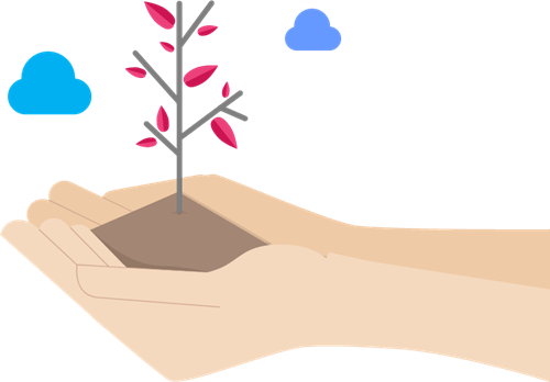 seed