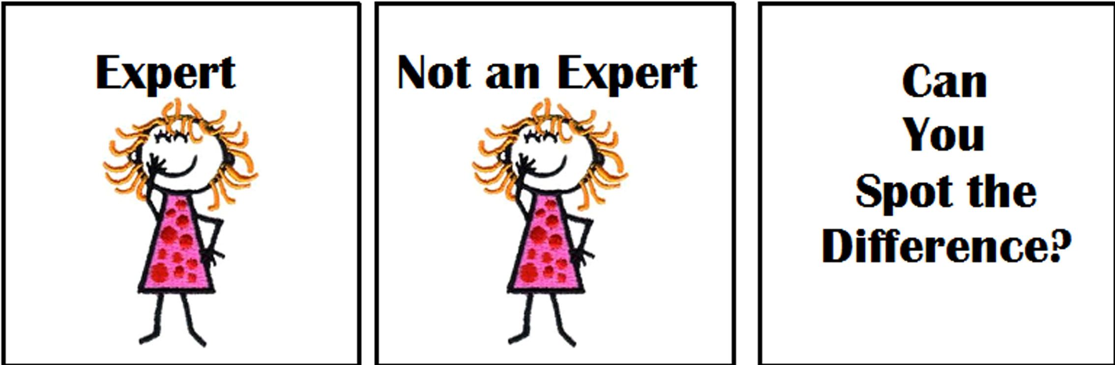 expert1